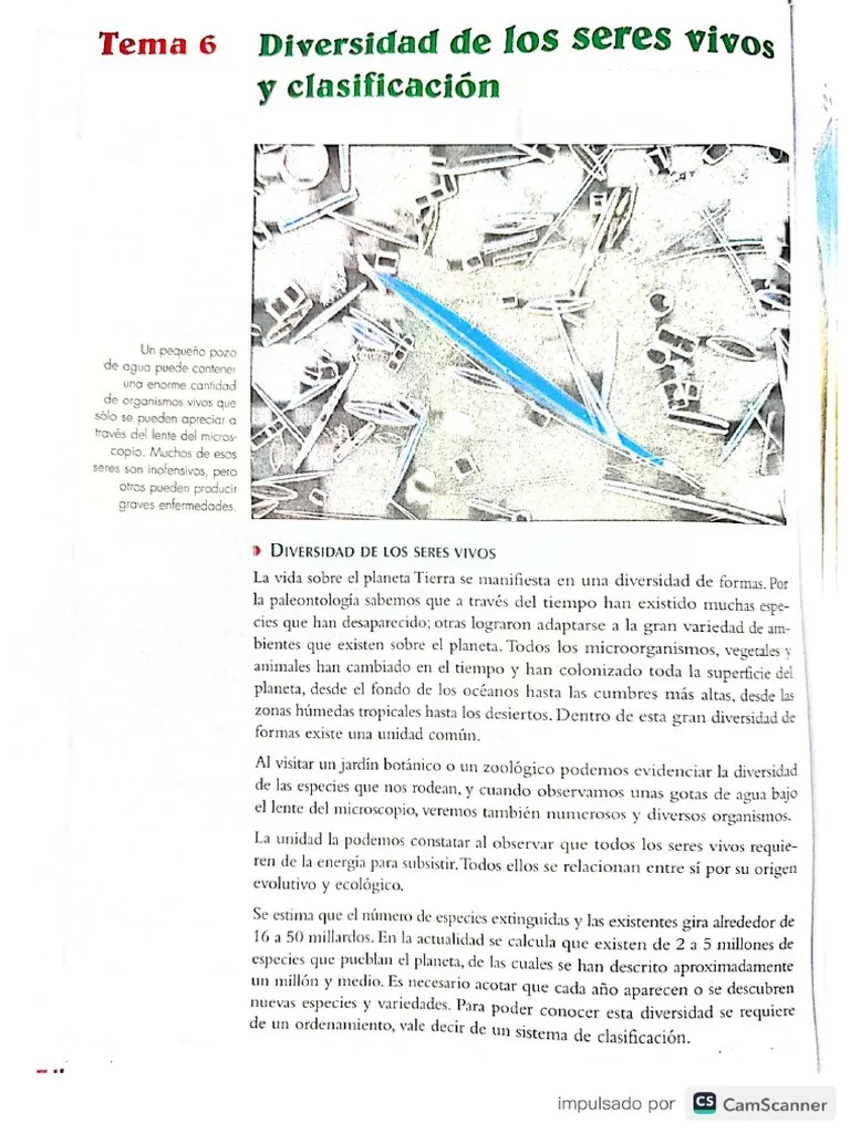 Tema 6. Diversidad De Los Seres Vivos Y Clasificación. Jesus Hoyos. Biología | PDF