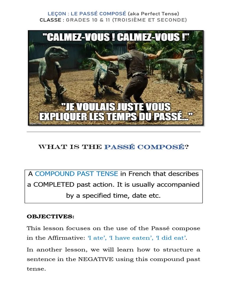 Perfect Tense In French (Passe Compose) - Grades 10 - 11 | Download ...