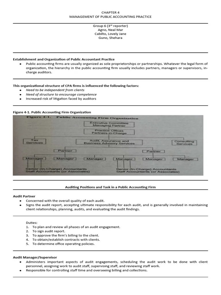 Audit And Assurance Report Pdf Audit Accounting