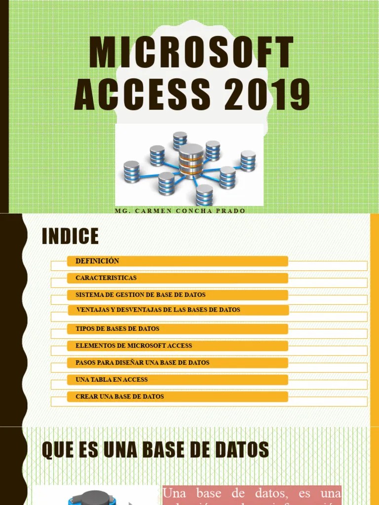 Microsoft Access 2019 | PDF
