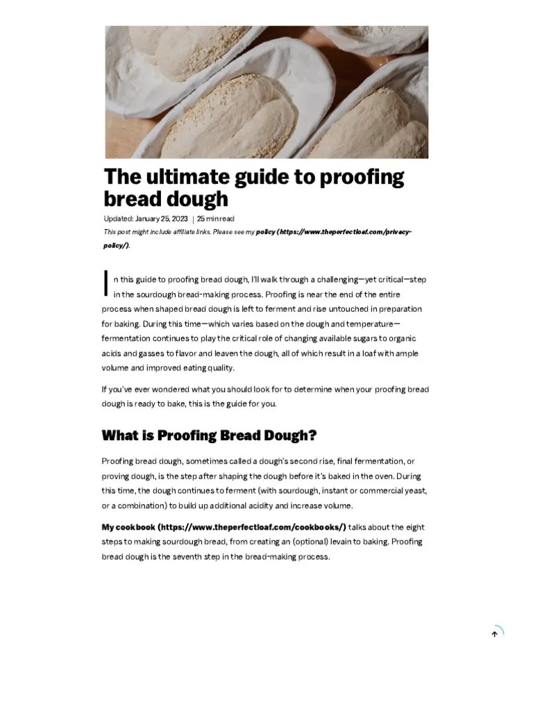 Guide To Proofing | PDF | Breads | Sourdough