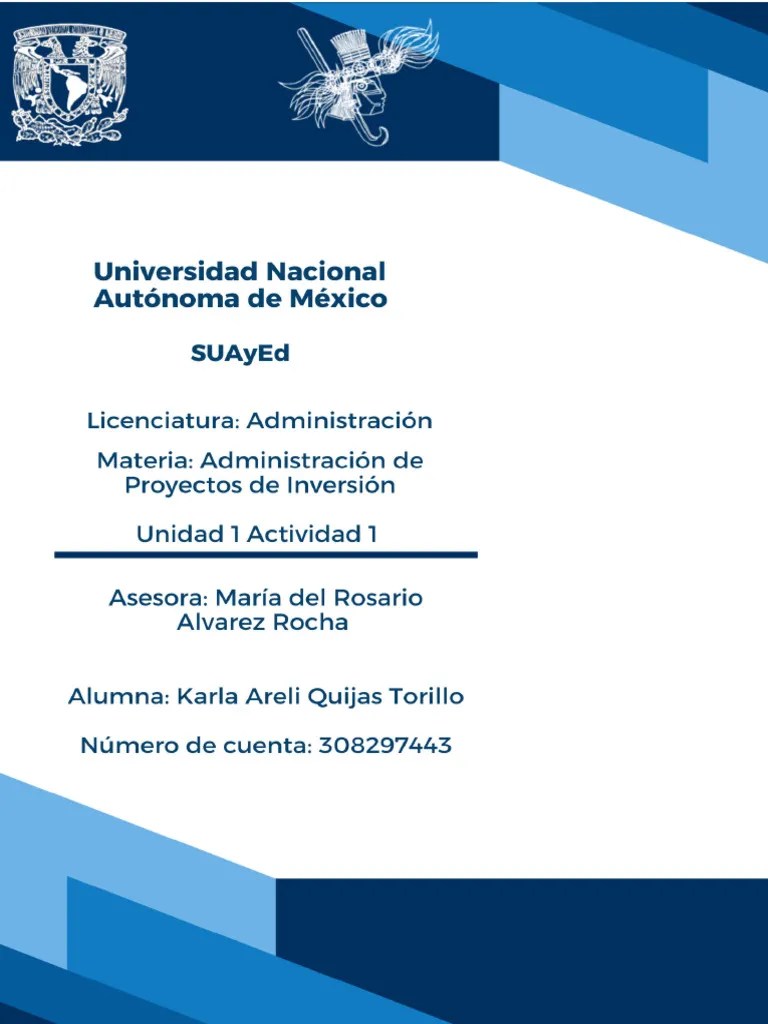 Proyectos De Inversión | PDF | Inversiones | Business