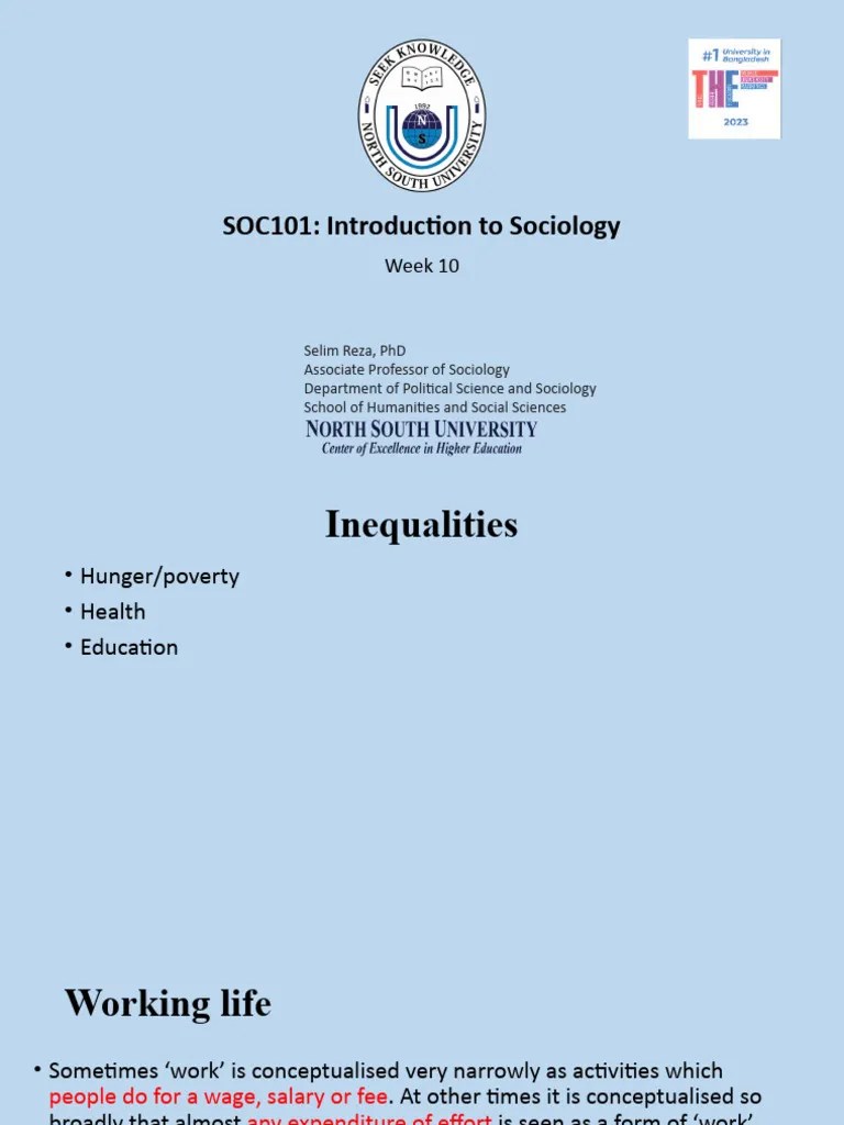 SOC101 Lecture Slides Week 10 | PDF