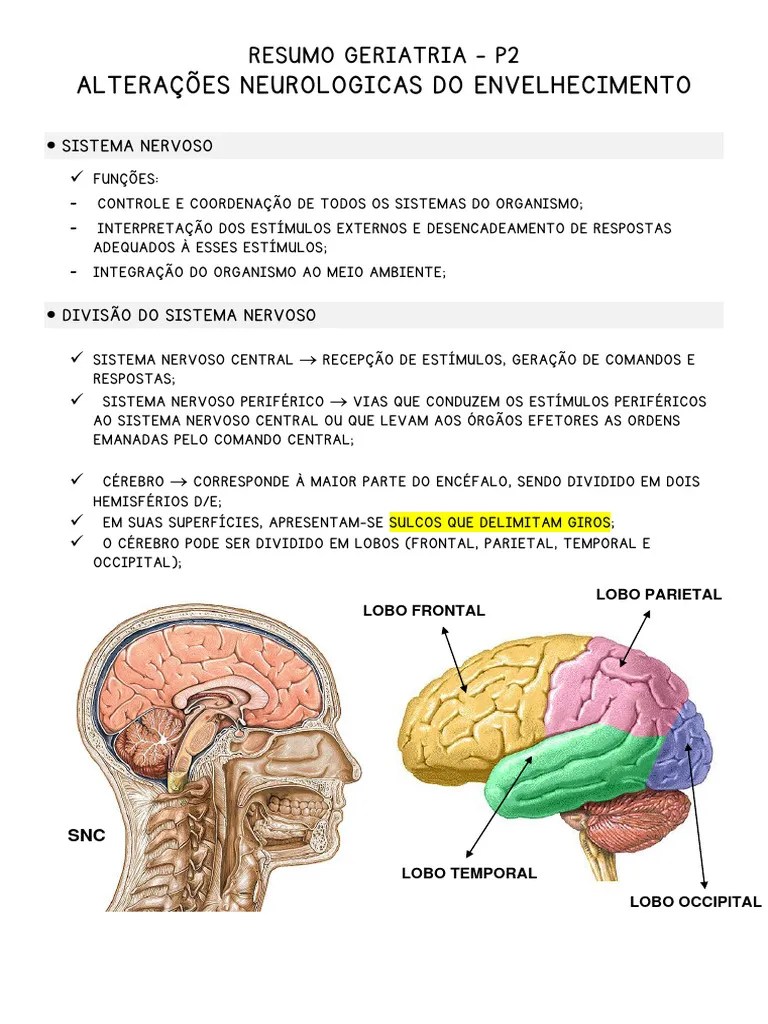 Resumo Geriatria P2 - Sistema Nervoso | PDF | Sinapse | Neurônio