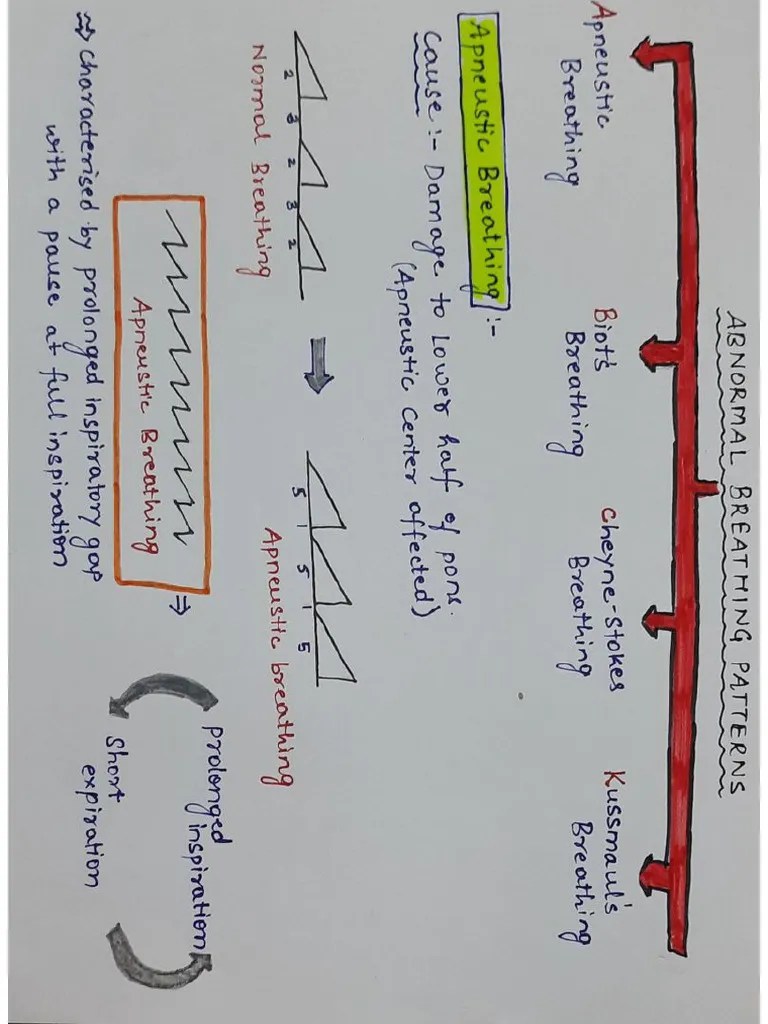 Abnormal Breathing Patterns | PDF