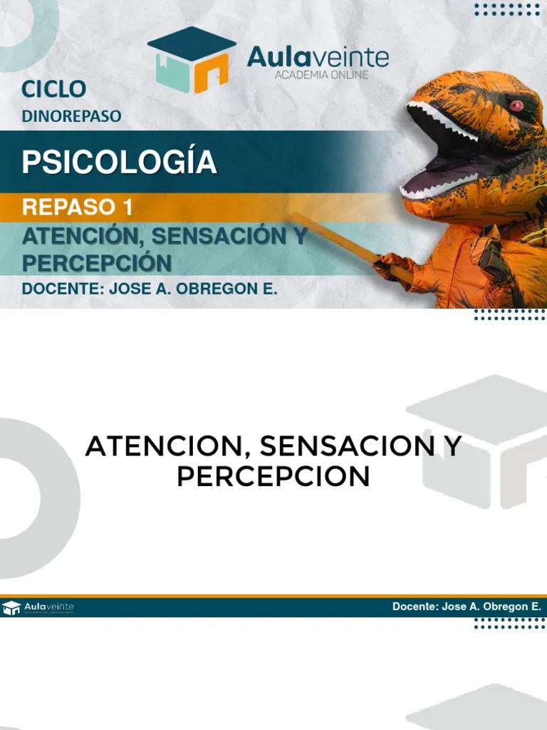 R1-Atención, Sensación Y Percepción | PDF