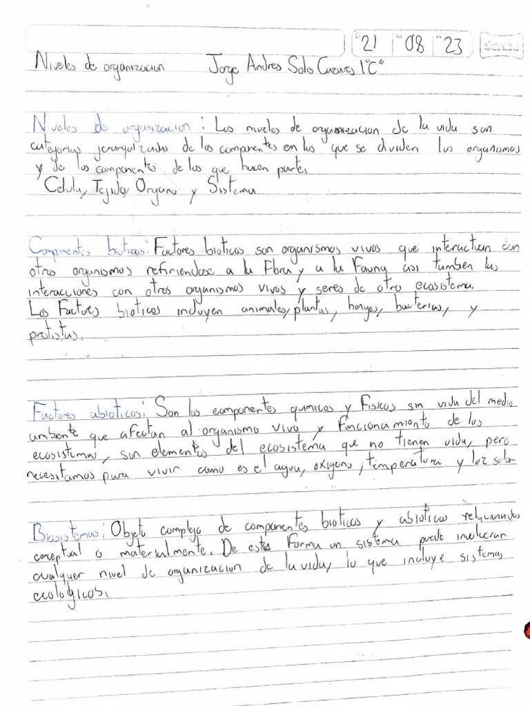 Niveles De Organización | PDF