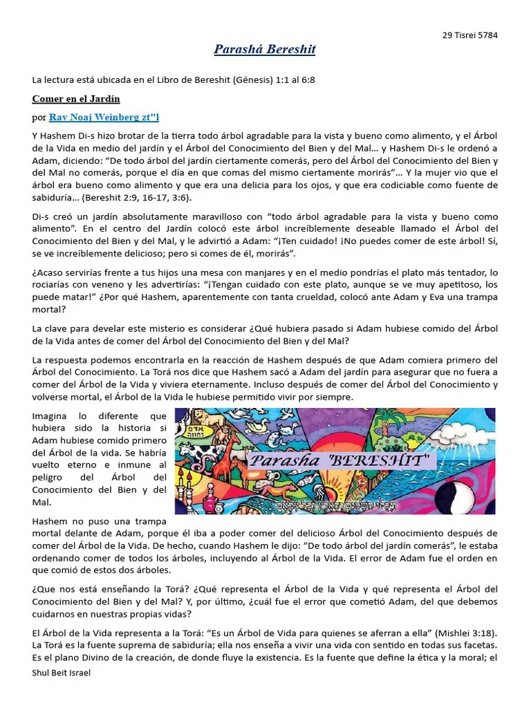 Parasha Bereshit | PDF