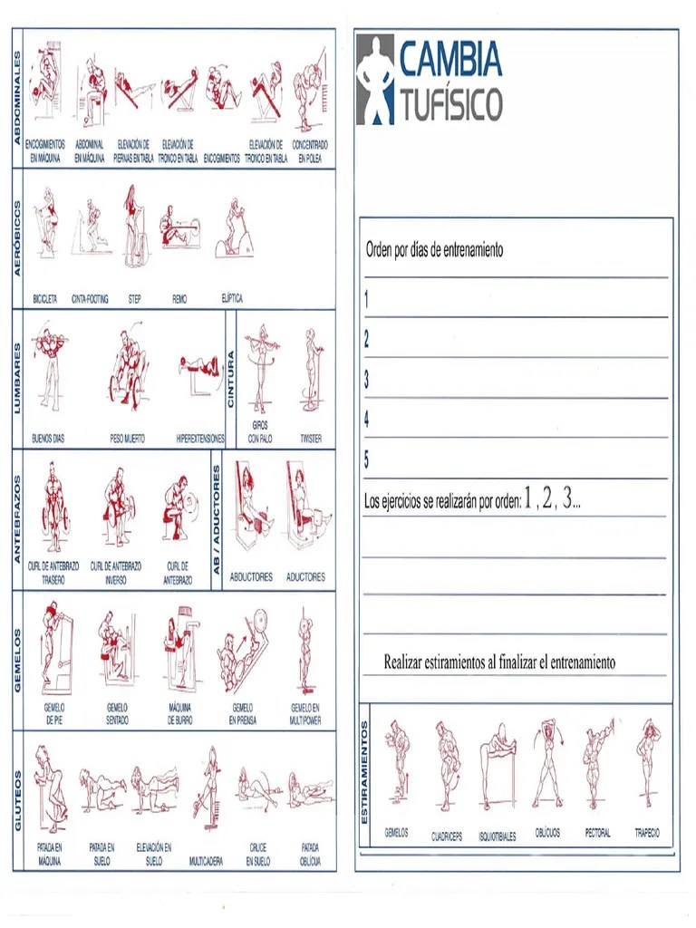 Plantilla Entrenamiento | PDF