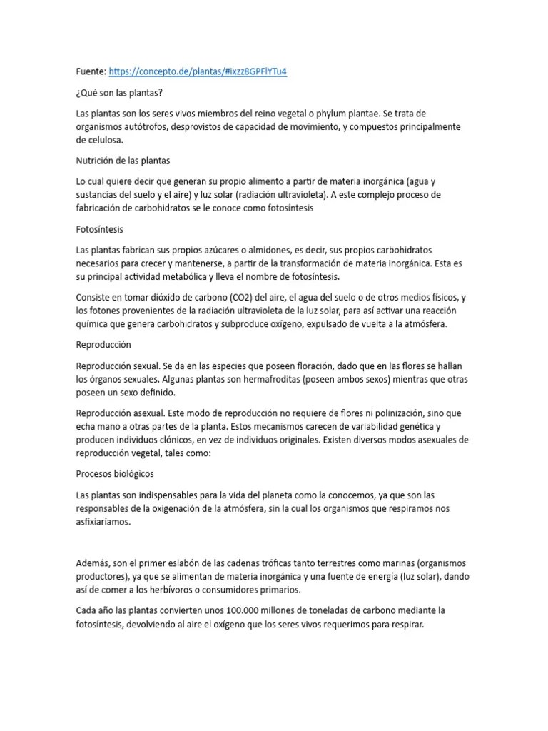 Las Plantas | PDF | Plantas | Fotosíntesis