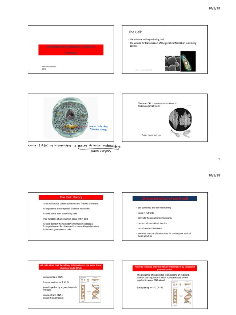 FMS1 Cell Lecture 1 Handout-1 | PDF | Cell Membrane | Cell (Biology)