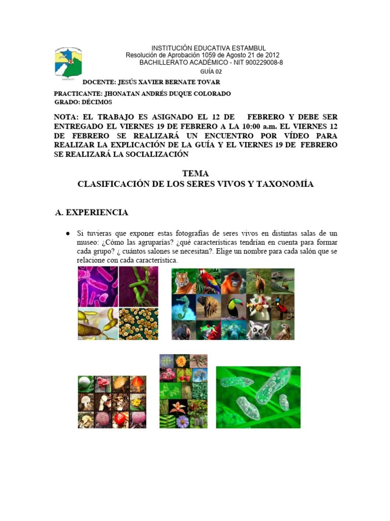 Clasificación De Los Seres Vivos Y Taxonomía | PDF | Plantas | Hongo