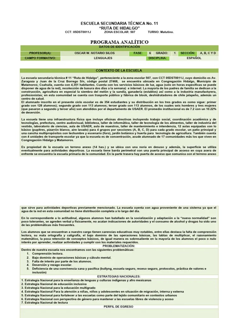 Formato De Programa Analitico | PDF | Evaluación | Aprendizaje