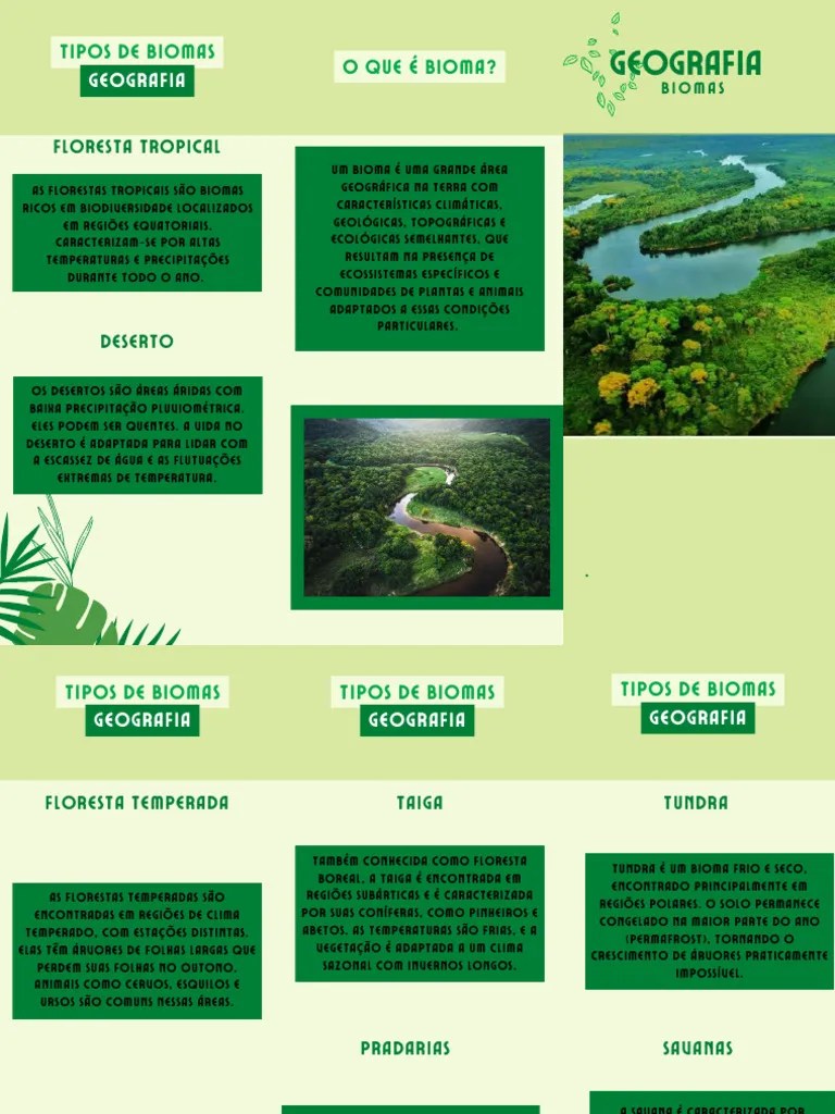 Trabalho De Geografia | PDF | Florestas | Savana