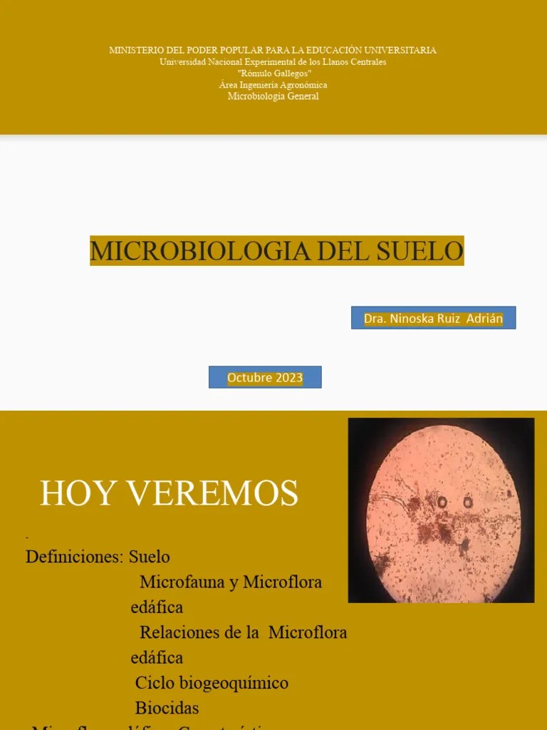 Microbiologia Del Suelo | PDF | Las Bacterias | Microorganismo