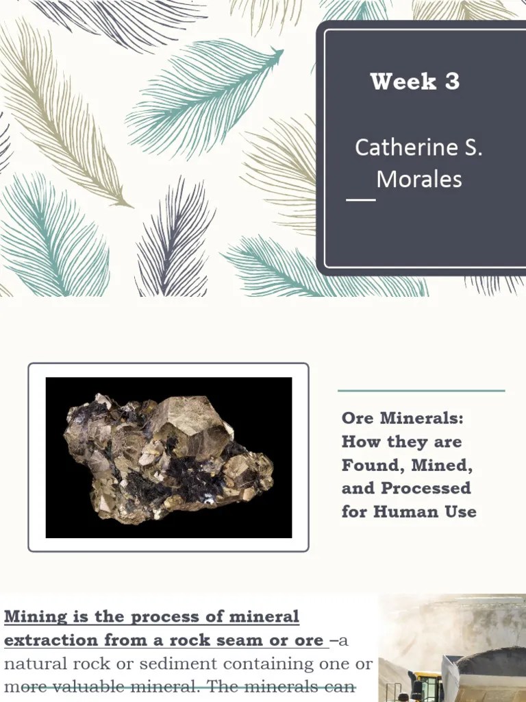 Week 3 Mining Fossil Fuels Lecture | PDF | Mining | Petroleum