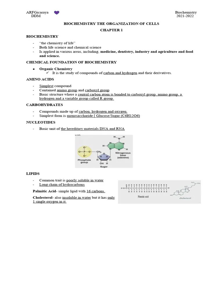 (Chapter 1) Biochemistry | PDF | Macromolecules | Biochemistry