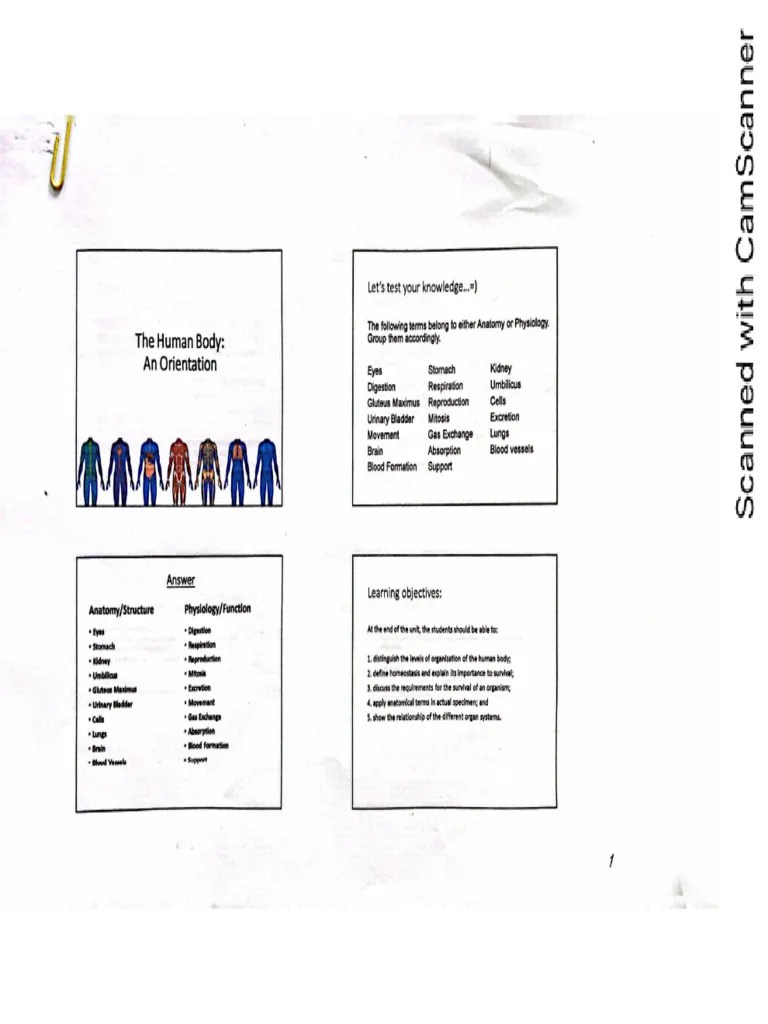 Chapter 1 Human Body Orientation | PDF