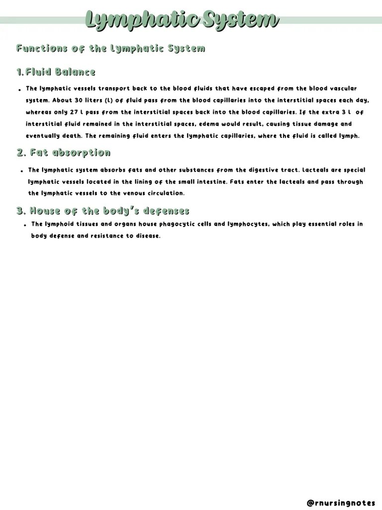 Lymphatic System | PDF | Lymphatic System | Antibody