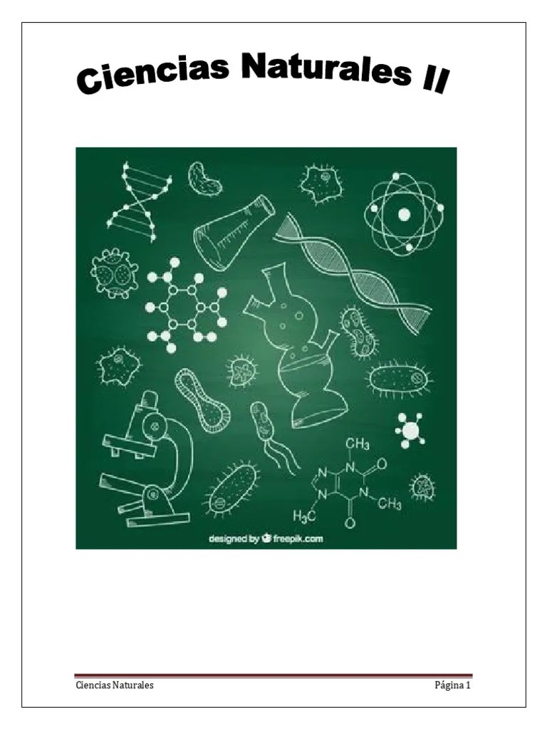 Cs Naturales Nivel B 2 | PDF | Nucleótidos | Carbohidratos