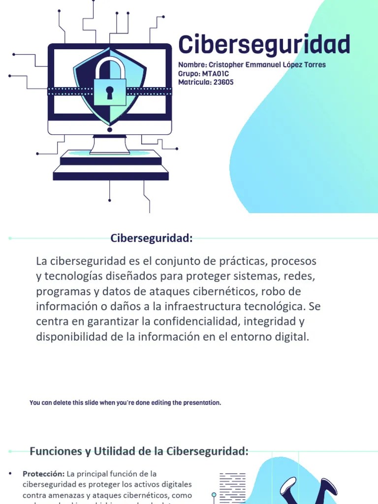 Ciberseguridad | PDF