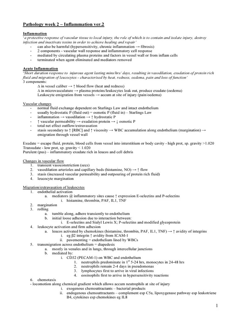 Inflammation 2 Final Pdf Inflammation Macrophage - Gorgeous Geometric Photo - 4K