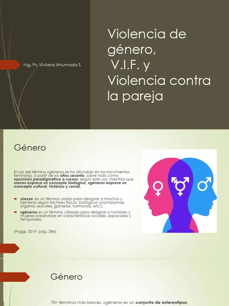 Violencia De Genero, VIF Y Violencia De Pareja 2023 | PDF | La Violencia Contra Las Mujeres | Género
