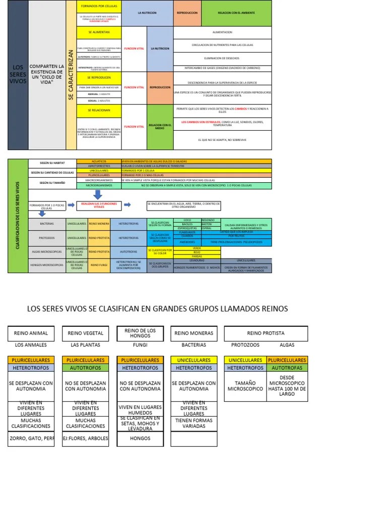 Clasificacion De Los Seres Vivos | PDF | Hongo | Reproducción