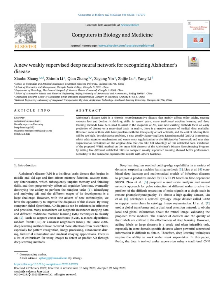 A New Weakly Supervised Deep Neural Network For Recognizing Alzheimer's ...