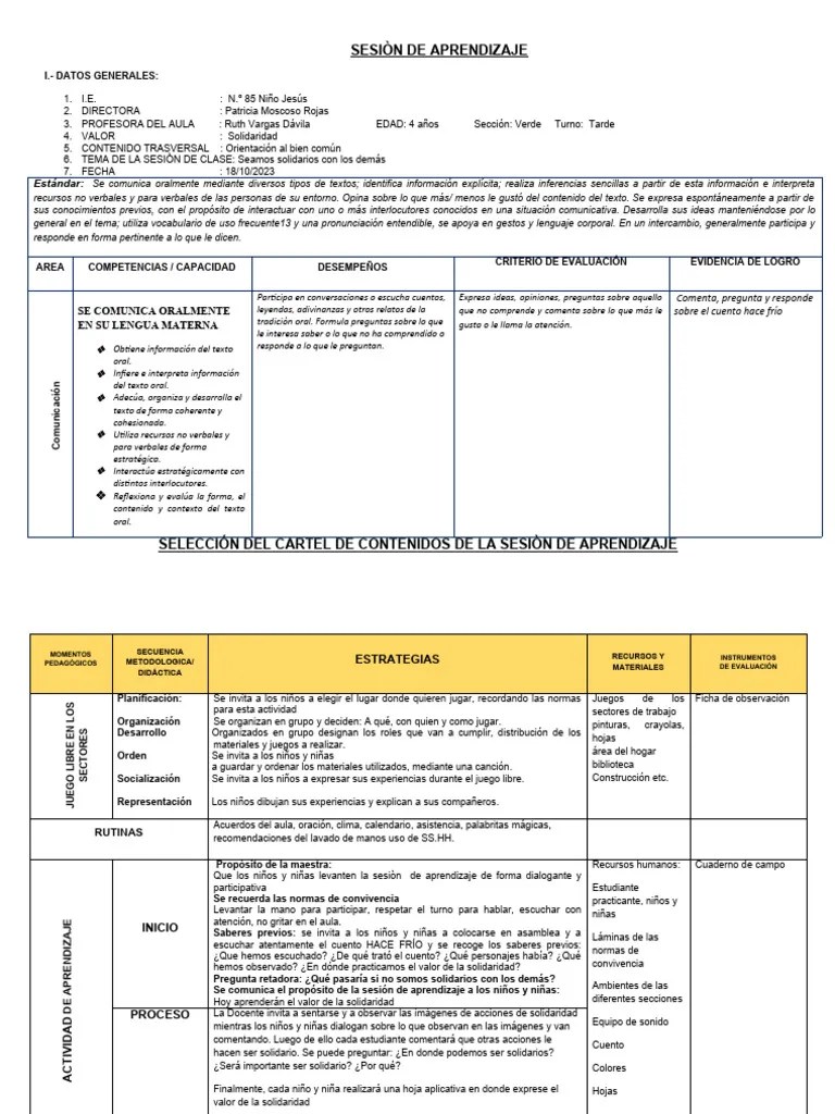 Sesiòn De Aprendizaje 19 | PDF | Aprendizaje | Evaluación