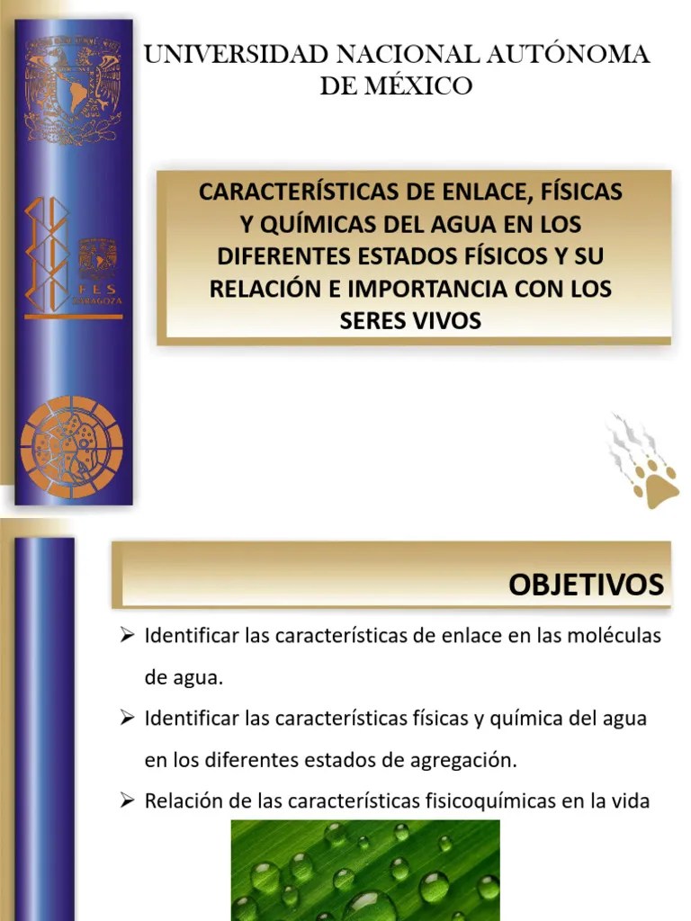 Propiedades Del Agua | PDF | Propiedades Del Agua | Moléculas