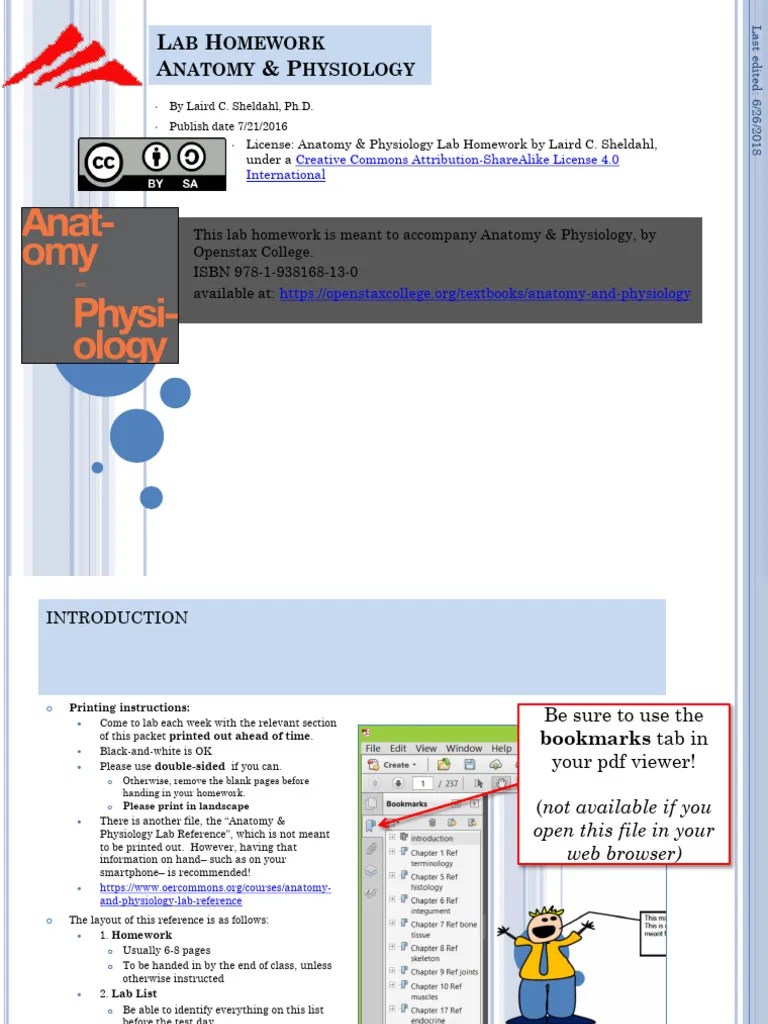 Anatomy And Physiology Lab Homework | PDF | Skin | Knee
