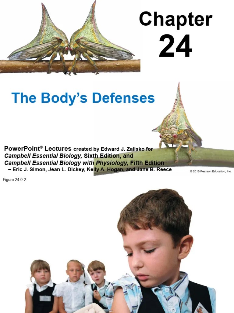 The Bodys Defence - Mechanism | PDF | Lymphatic System | Antigen