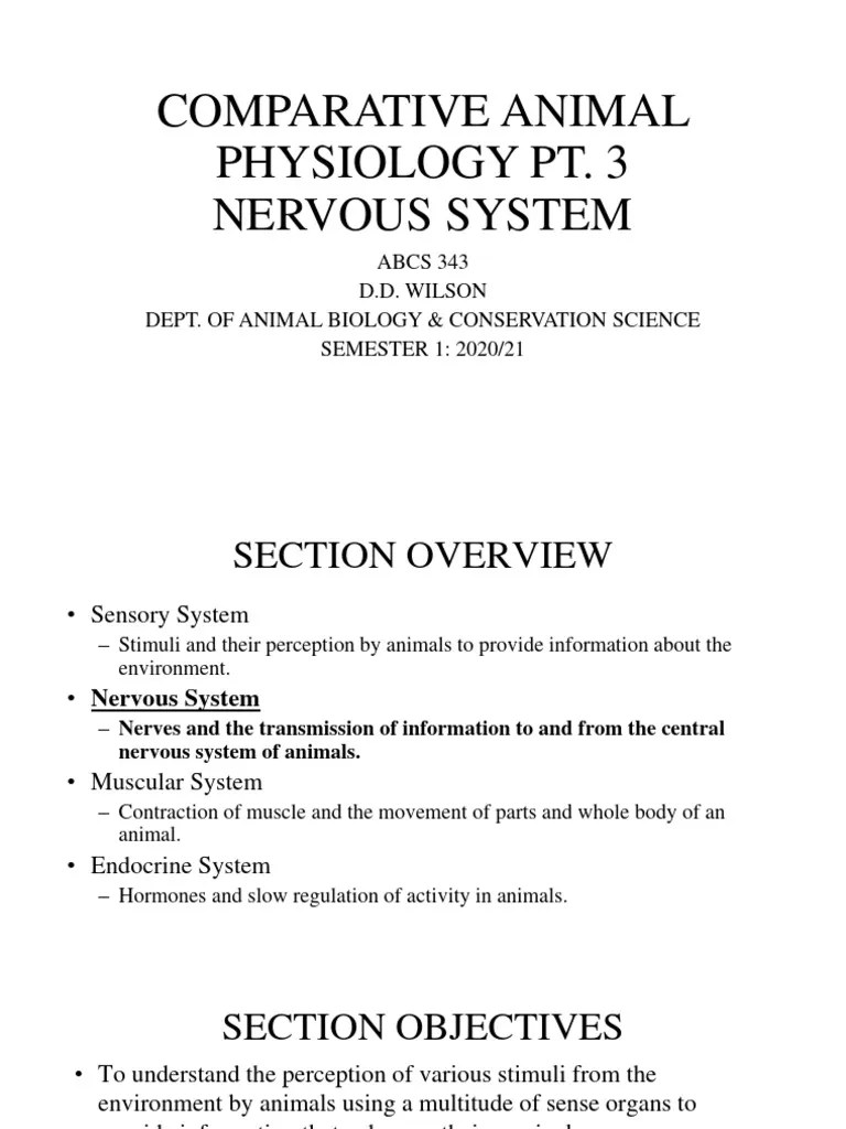 Nervous System | PDF | Neuron | Nervous System