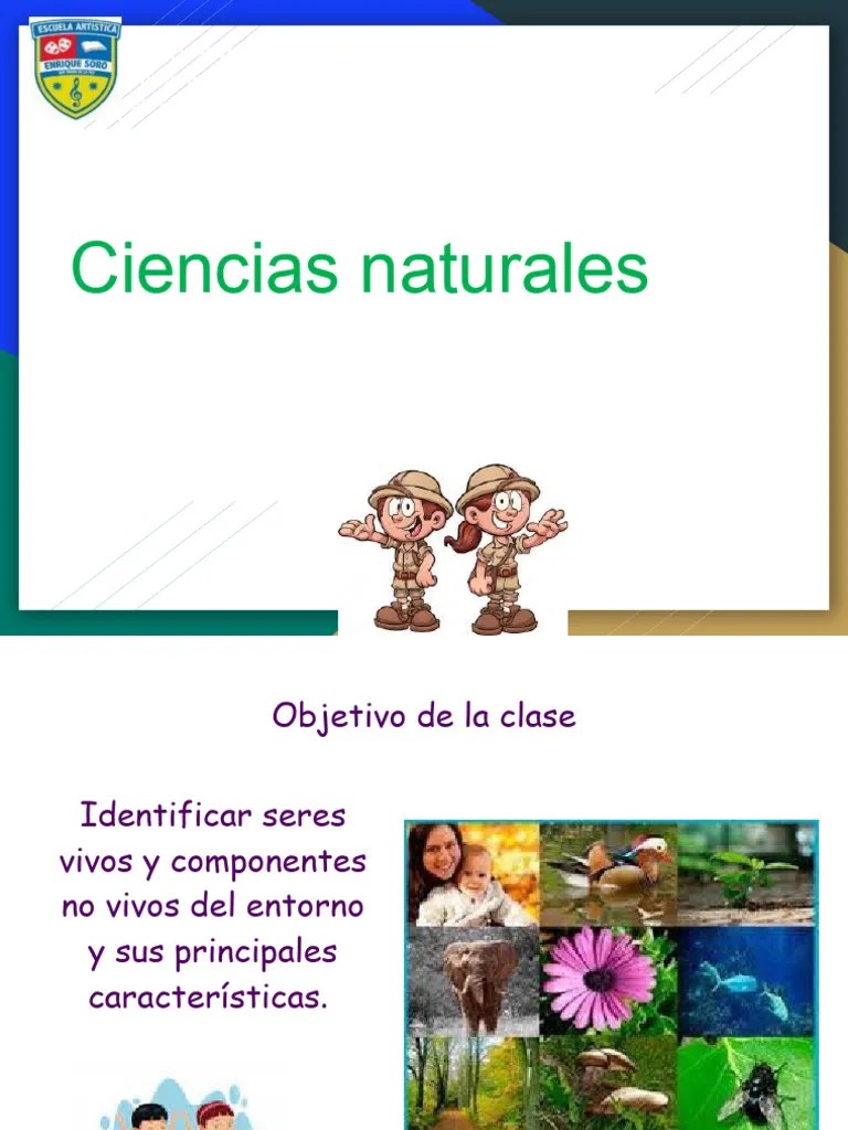Clase 1 U1ciencias Naturales 1° Básico (Seres Vivos Y No Vivos) | PDF | Reproducción | Biología