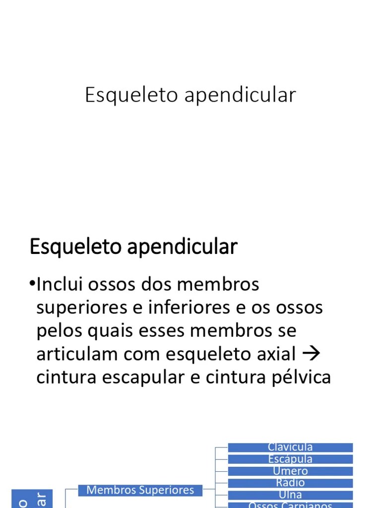 Resposta Esqueleto Apendicular Mmss 1 Pdf - Perfect Gradient Image - 8K