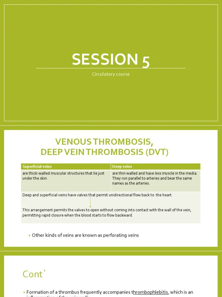 Nursing Managment For DVT | PDF | Vein | Thrombosis