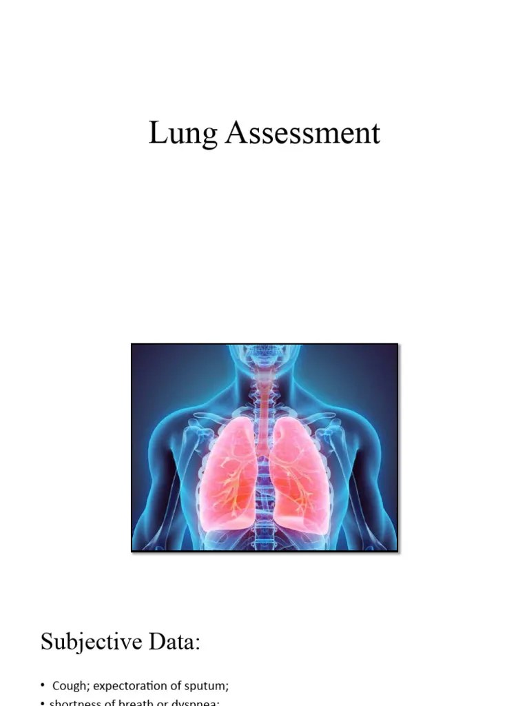Lung Assessment | PDF | Thorax | Lung