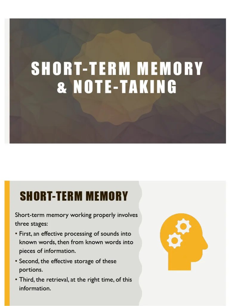 Short Term Memory Pdf Memory Recall Memory - Dark Wallpaper Collection - 8K Quality