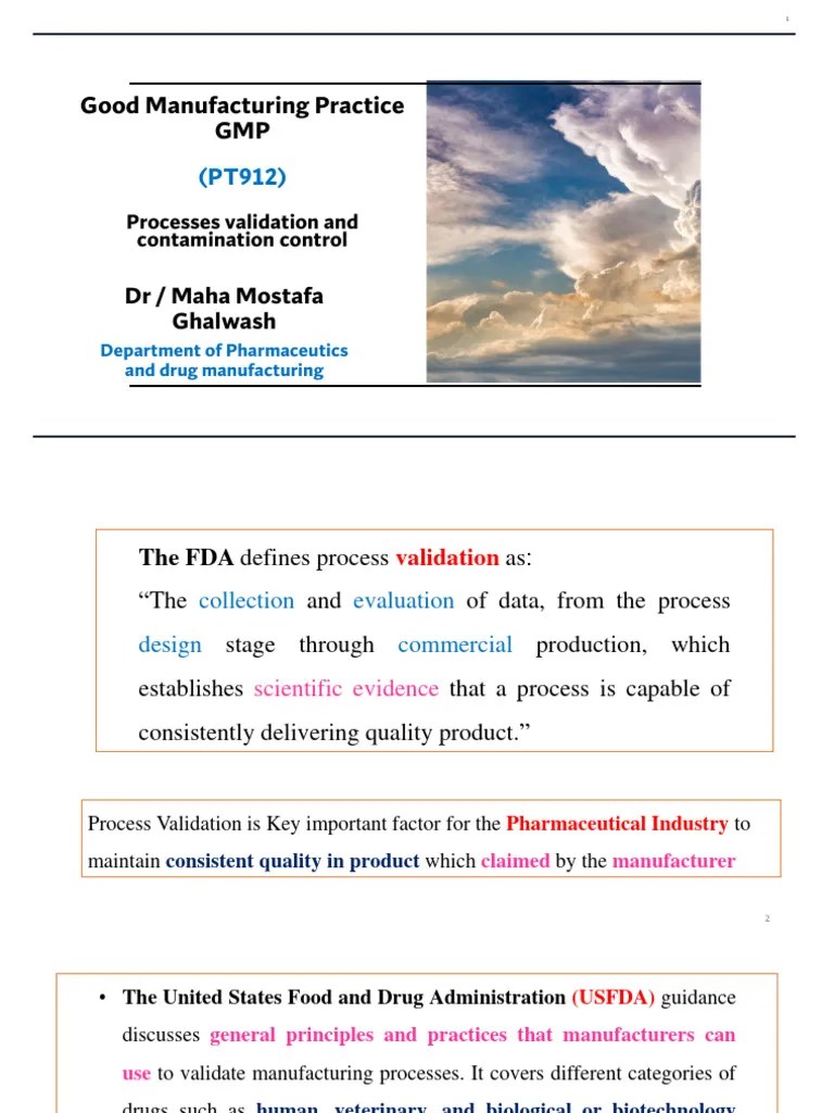 Process Validation | PDF | Verification And Validation | Food And Drug ...