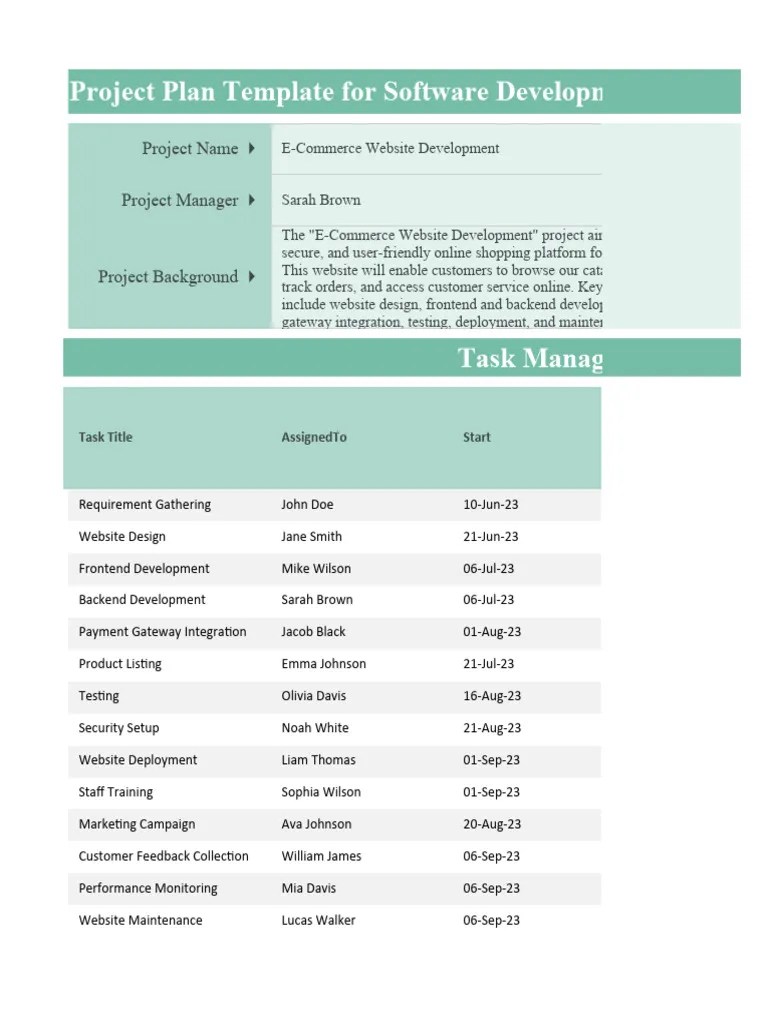 Project Plan Template For Software Development | PDF | Microsoft Excel ...