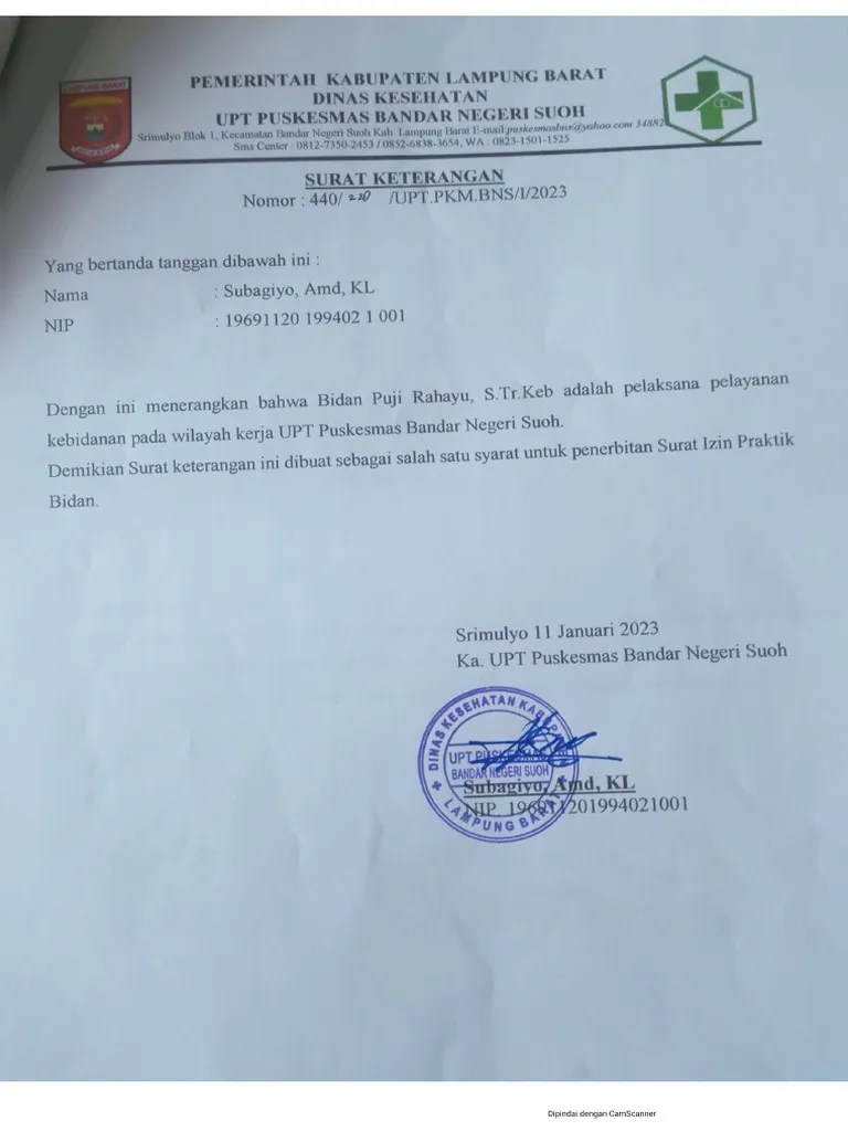 Surat Keterangan Kepala Puskes | PDF