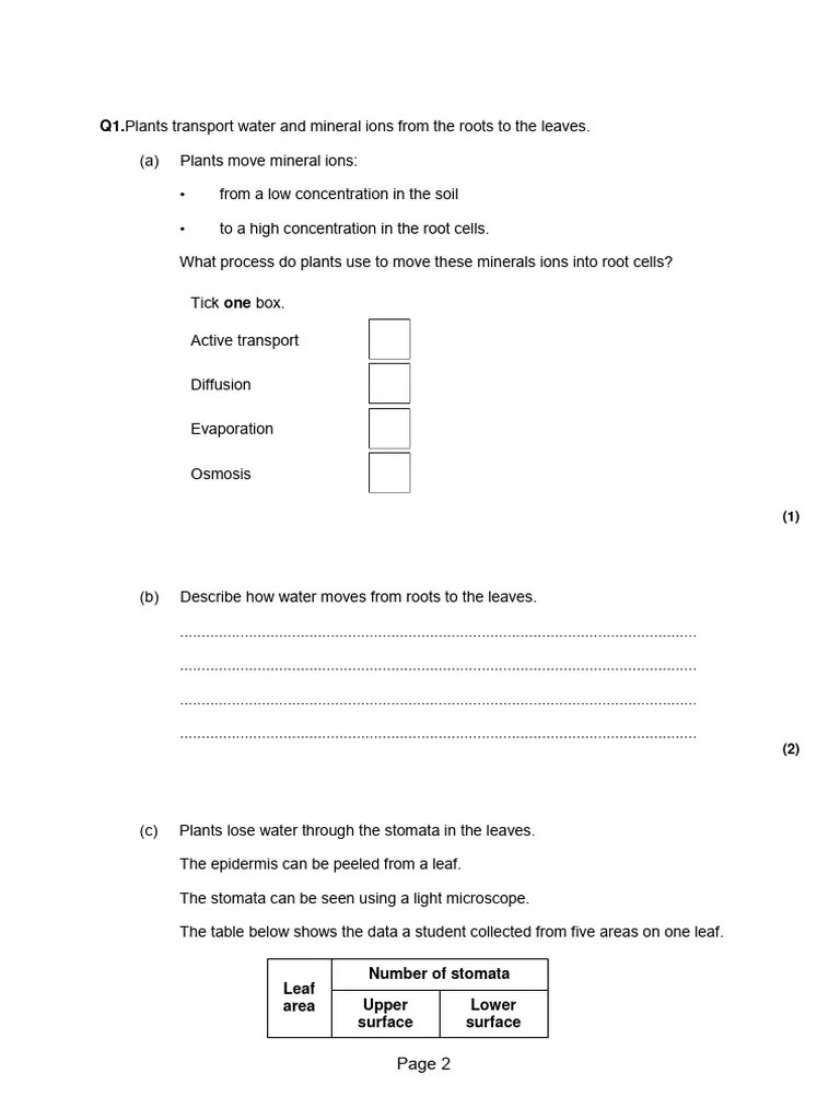 Plant Tissues, Organs - Systems 2 QP | PDF | Stoma | Heart