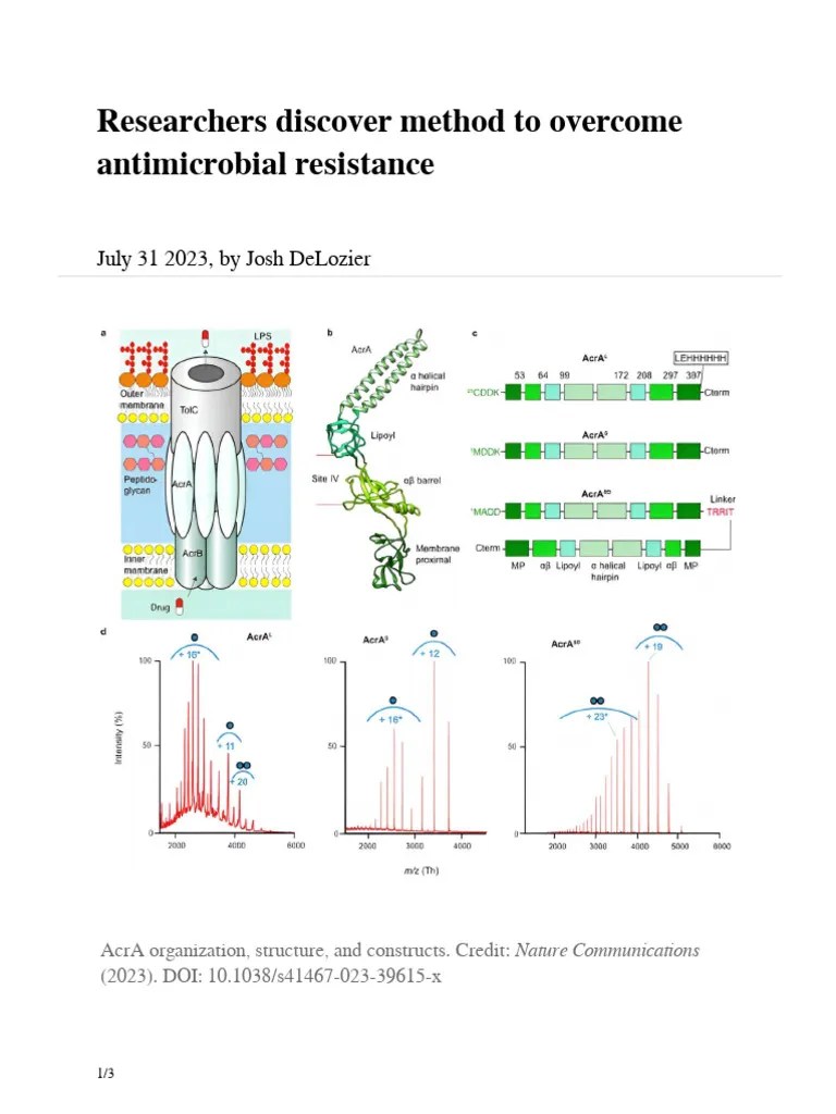Researchers Discover Method To Overcome Antimicrobial Resistance | PDF | Antimicrobial ...
