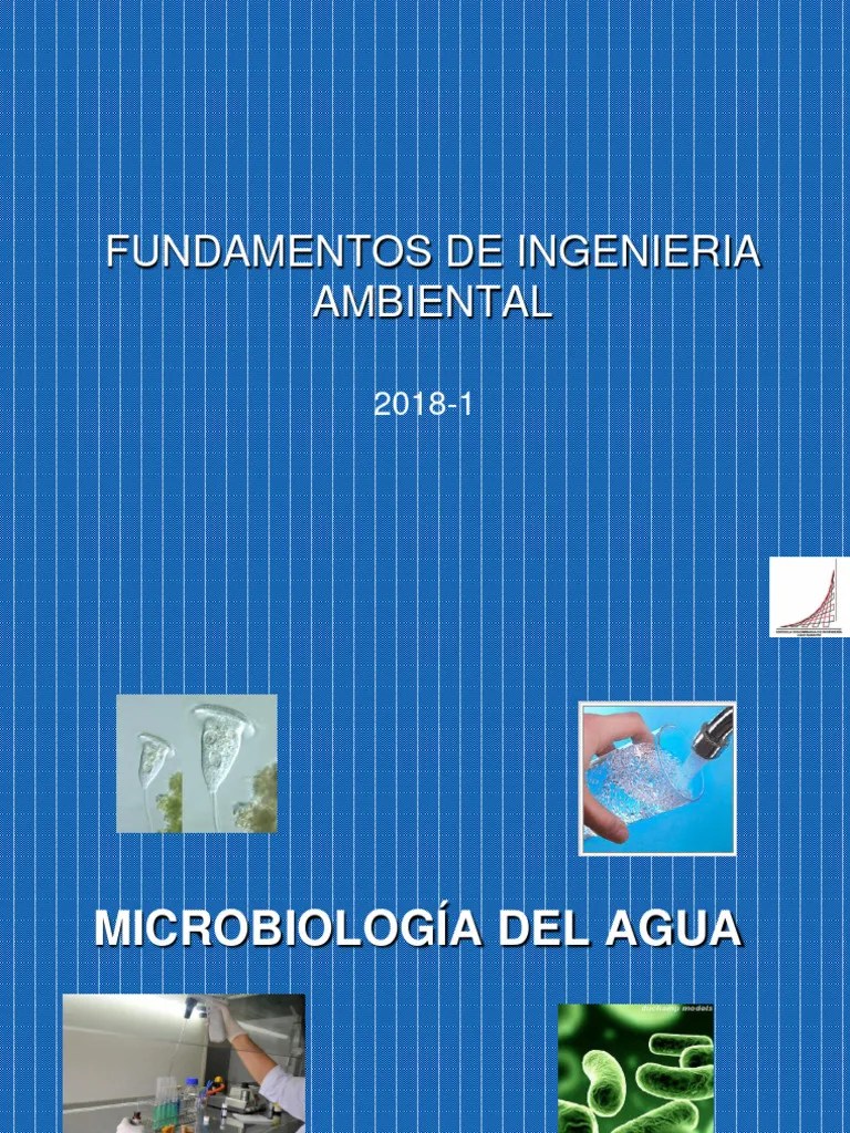 Clase 1 Clasificacion De Los Microorganismos-2018-1 | PDF | Protozoos | Archaea