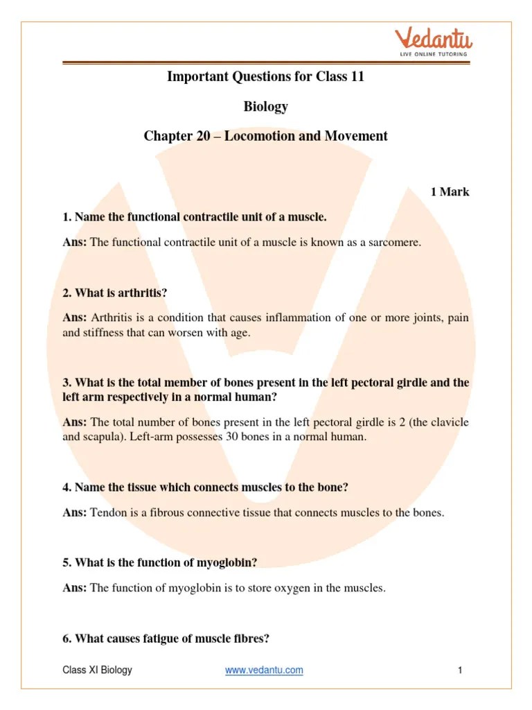 CBSE Class 11 Biology Chapter 20 - Locomotion And Movement Important Questions 2022-23 | PDF ...