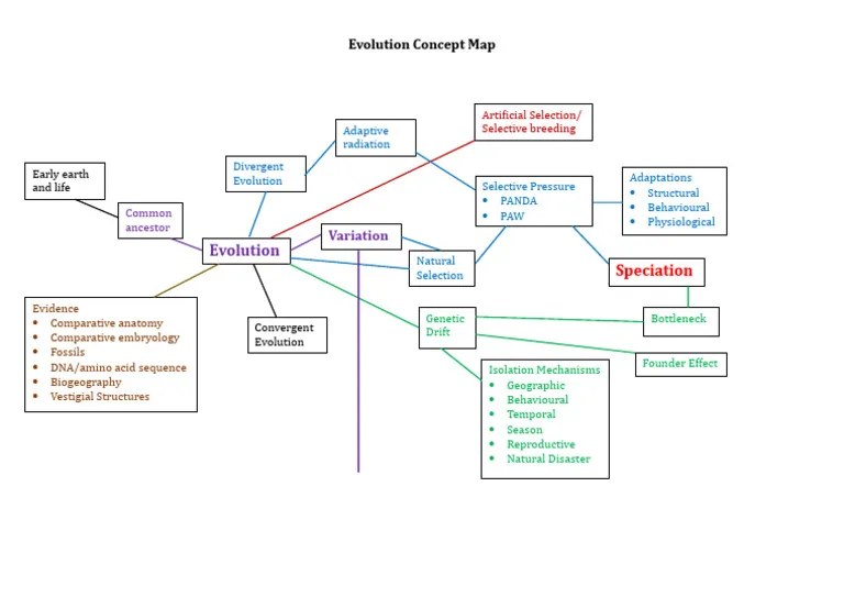 Evolution Concept Map | PDF
