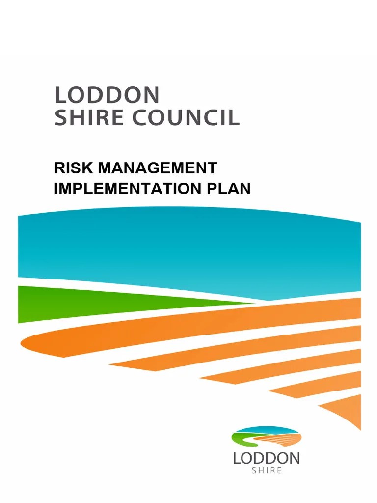 Risk Management Implementation Plan | PDF | Risk Management | Risk