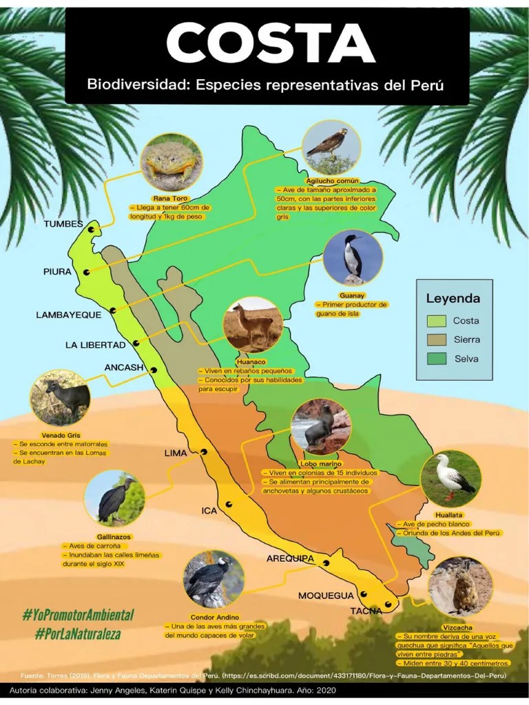 Fauna De La Costa | PDF