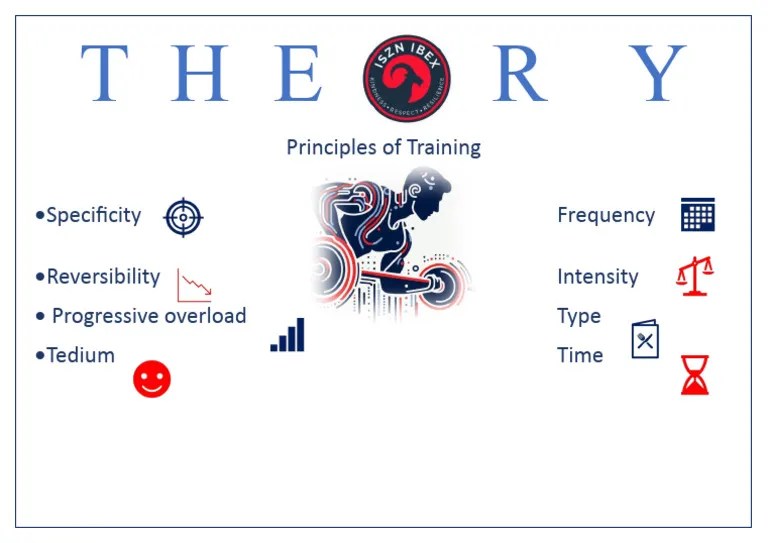 Principles Of Training Poster | PDF